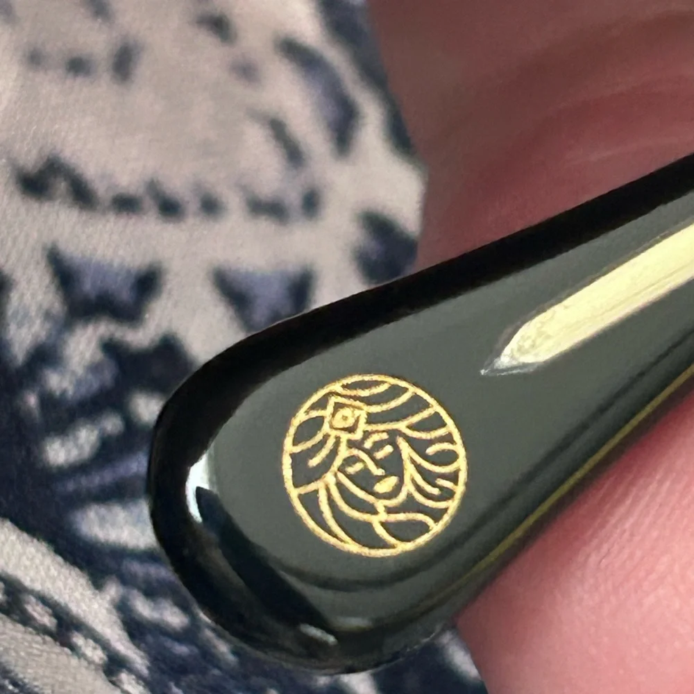 Eyeleos Black Sunglasses with Gold Accents. Large size men or women